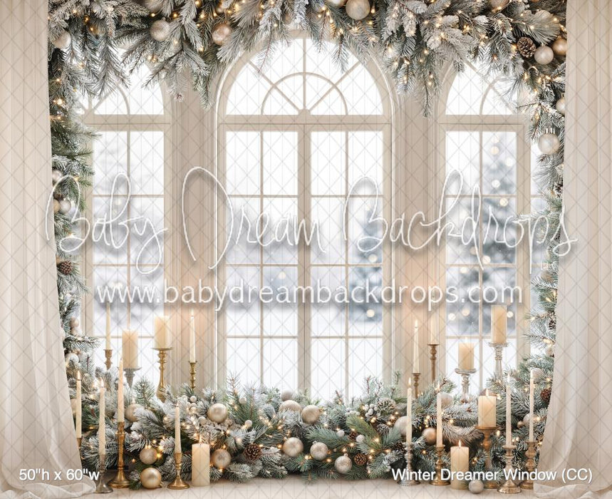Winter Dreamer Window (CC)