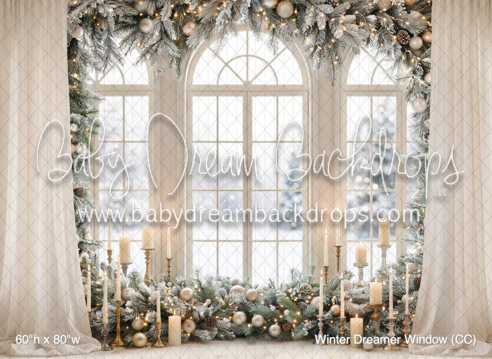 Winter Dreamer Window (CC)