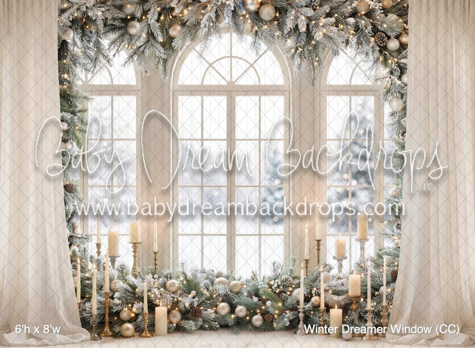 Winter Dreamer Window (CC)