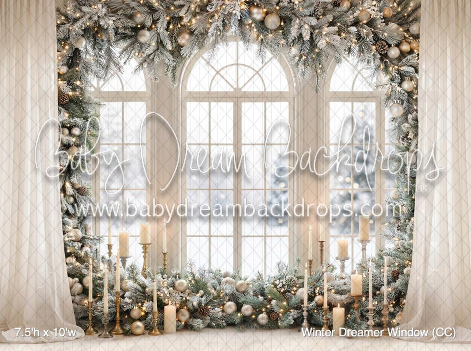 Winter Dreamer Window (CC)