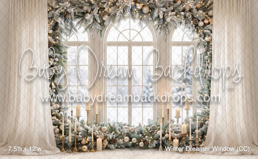 Winter Dreamer Window (CC)