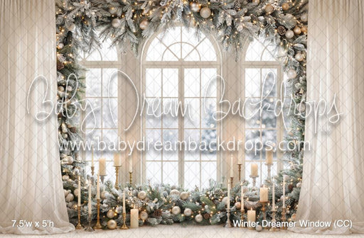 Winter Dreamer Window (CC)