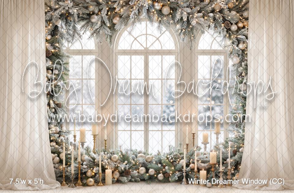 Winter Dreamer Window (CC)