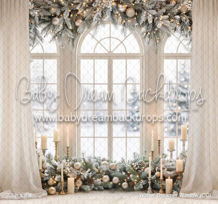 Winter Dreamer Window (CC)