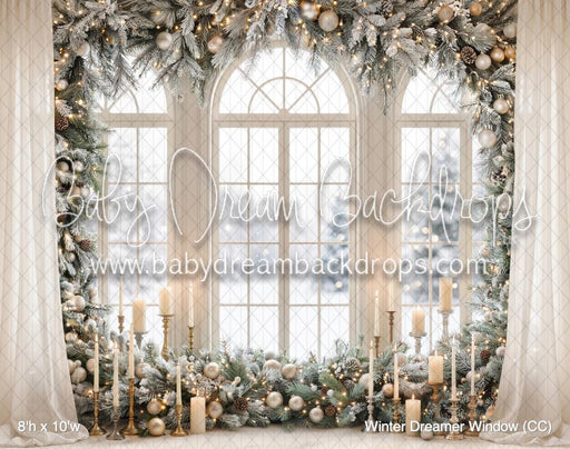 Winter Dreamer Window (CC)