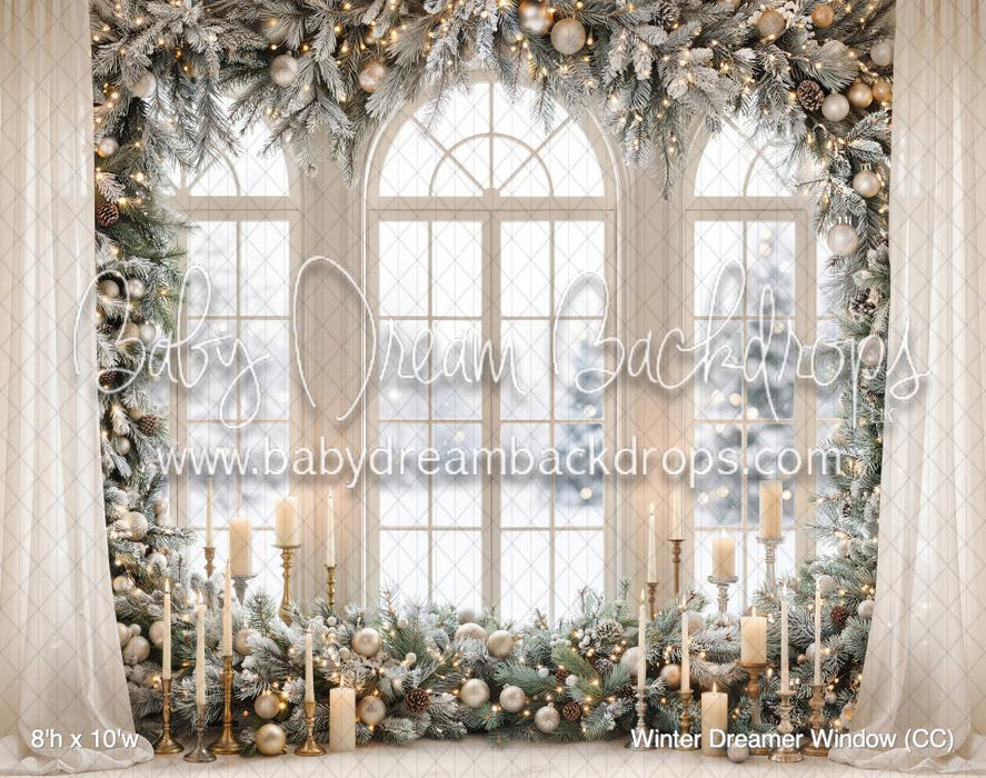 Winter Dreamer Window (CC)