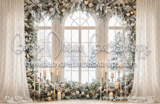 Winter Dreamer Window (CC)