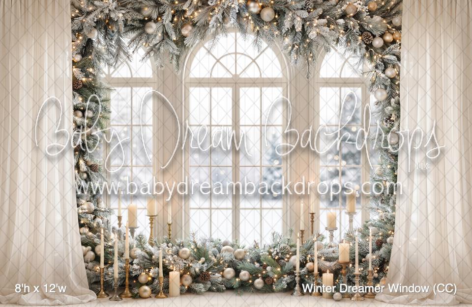 Winter Dreamer Window (CC)