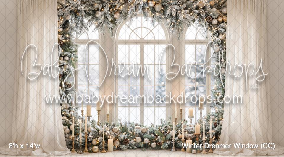 Winter Dreamer Window (CC)