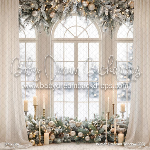 Winter Dreamer Window (CC)