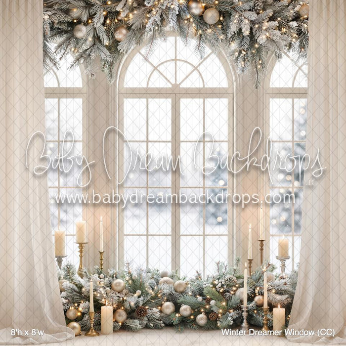 Winter Dreamer Window (CC)
