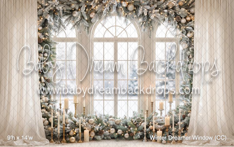 Winter Dreamer Window (CC)