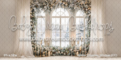 Winter Dreamer Window (CC)