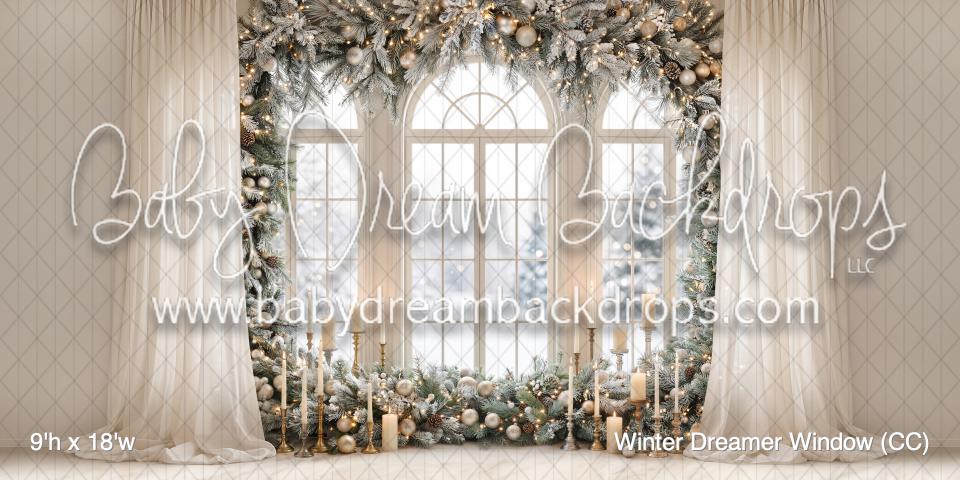 Winter Dreamer Window (CC)