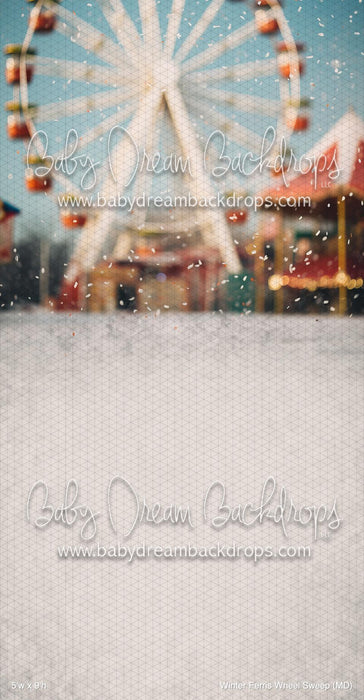 Winter Ferris Wheel Sweep (MD)