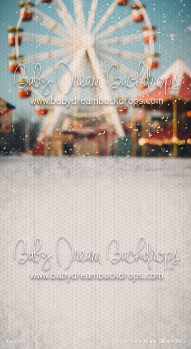 Winter Ferris Wheel Sweep (MD)