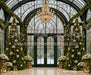 Winter Garden Glow (MI)