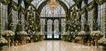 Winter Garden Glow (MI)