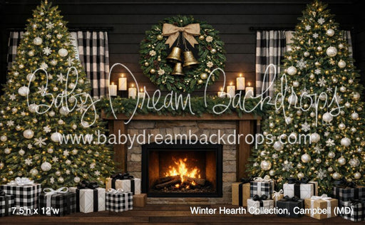 Winter Hearth Collection, Campbell (MD)
