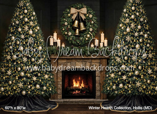 Winter Hearth Collection, Hollis (MD)