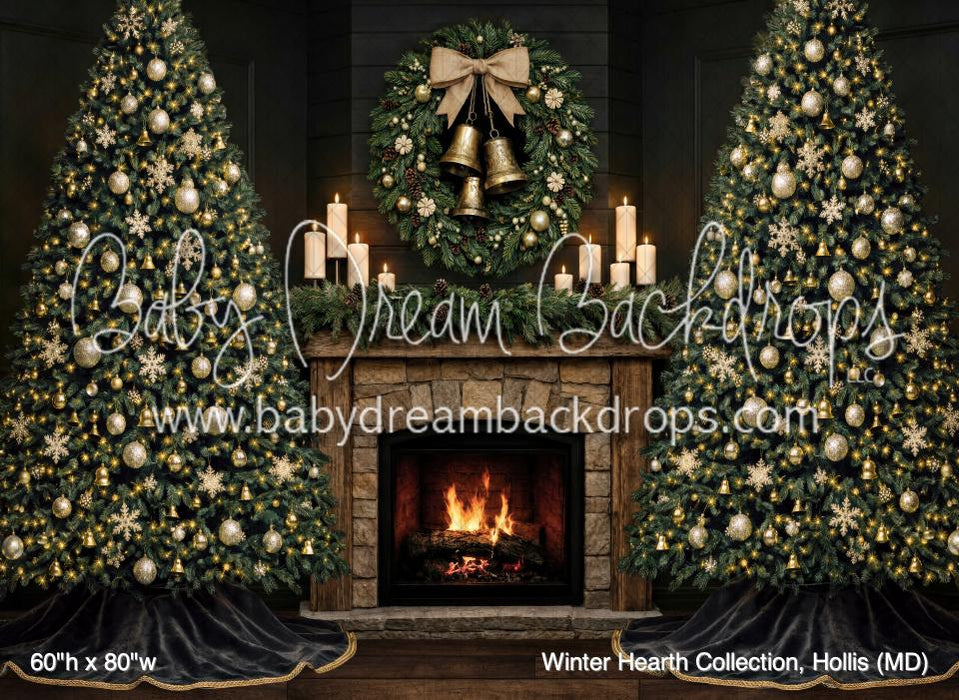 Winter Hearth Collection, Hollis (MD)