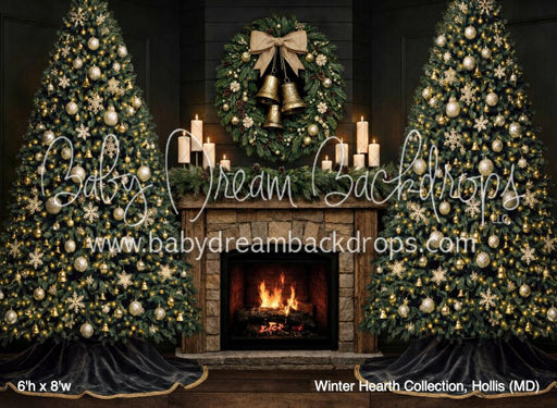 Winter Hearth Collection, Hollis (MD)