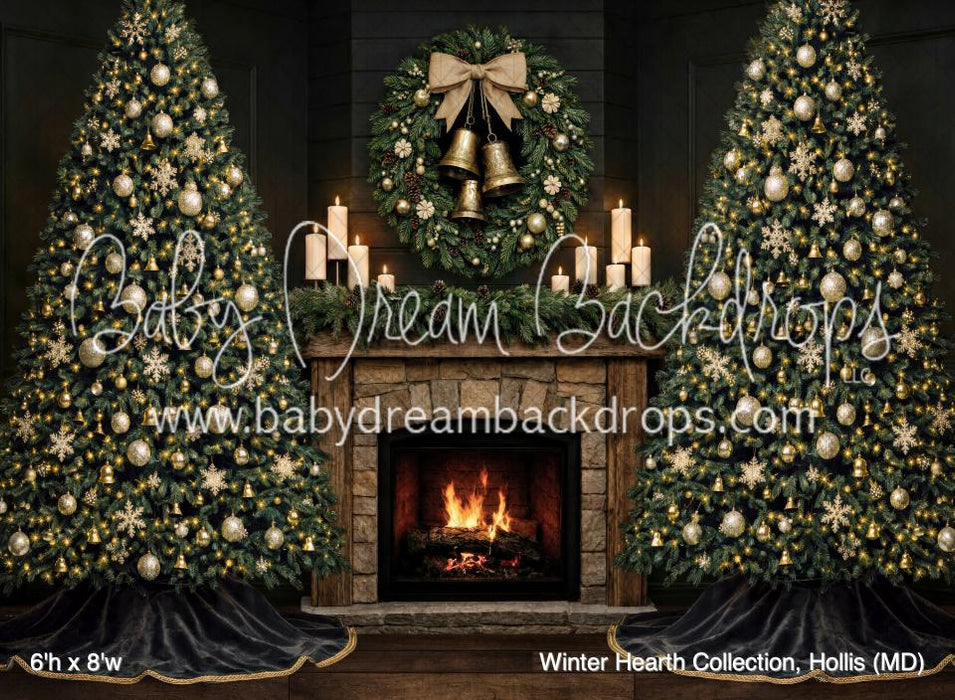 Winter Hearth Collection, Hollis (MD)