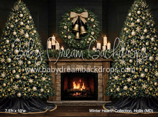 Winter Hearth Collection, Hollis (MD)