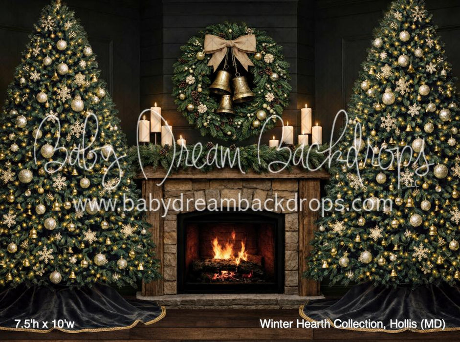 Winter Hearth Collection, Hollis (MD)