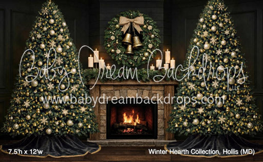 Winter Hearth Collection, Hollis (MD)