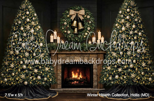 Winter Hearth Collection, Hollis (MD)