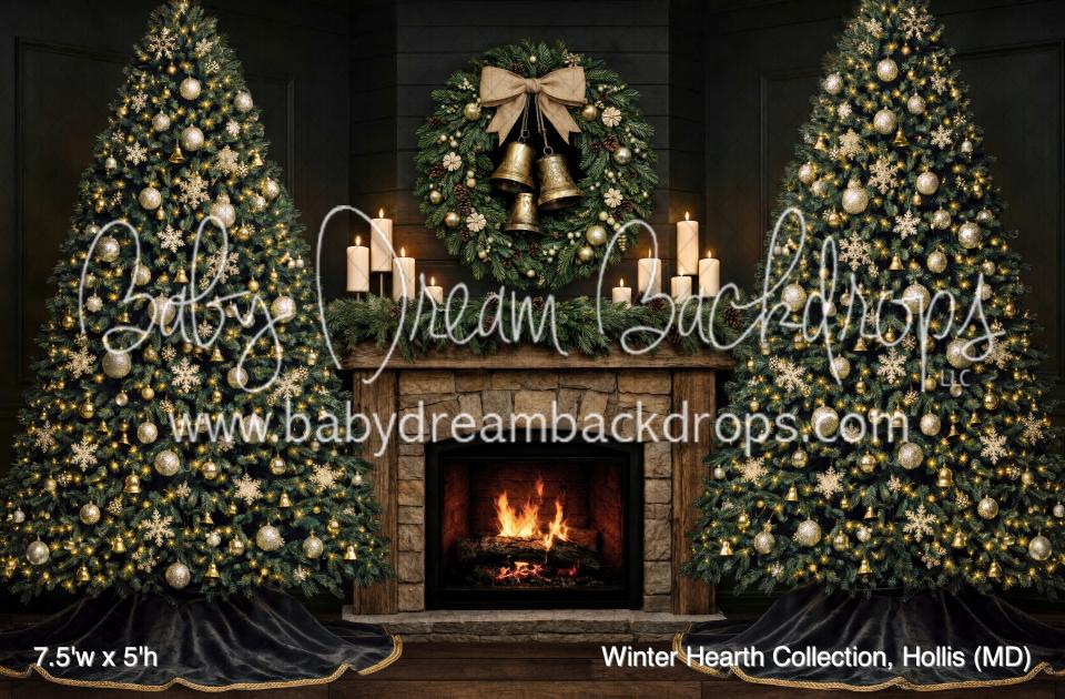 Winter Hearth Collection, Hollis (MD)