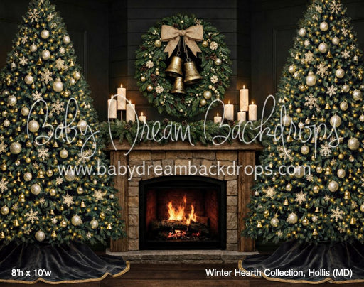 Winter Hearth Collection, Hollis (MD)