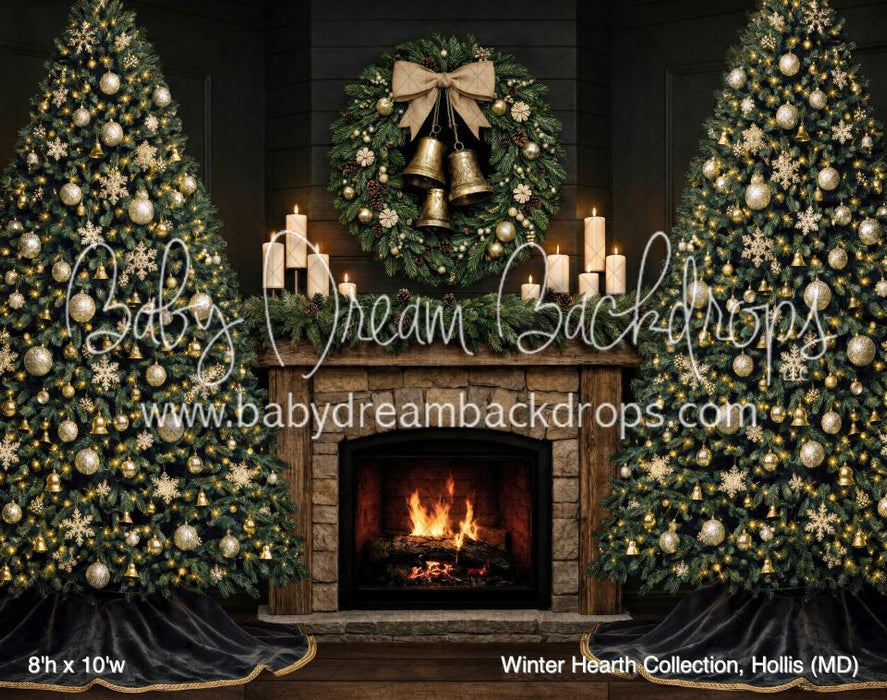 Winter Hearth Collection, Hollis (MD)