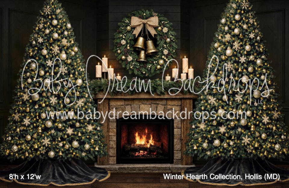 Winter Hearth Collection, Hollis (MD)