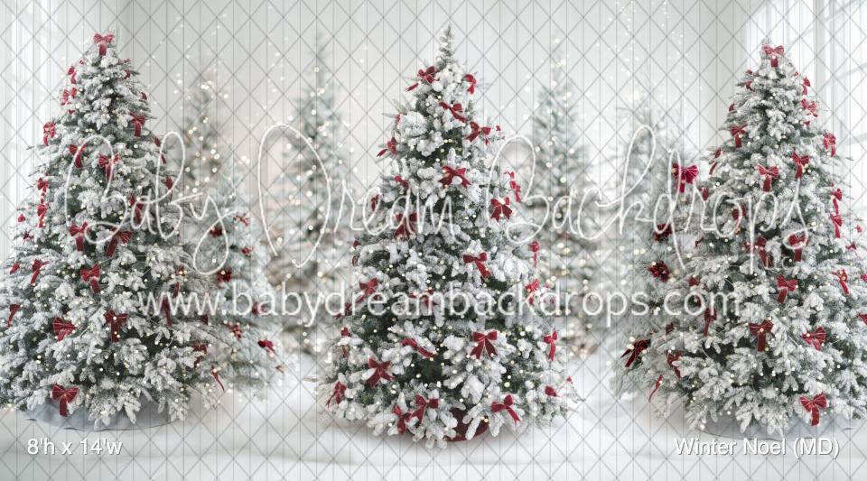 Winter Noel (MD)