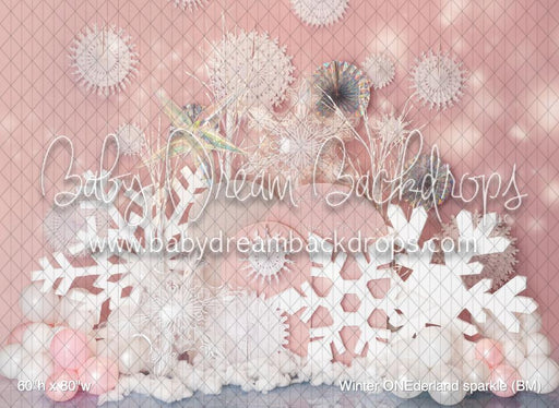 Winter ONEderland sparkle (BM)