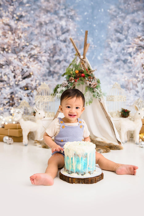 Christmas Trees in Snow with Lights (VR)