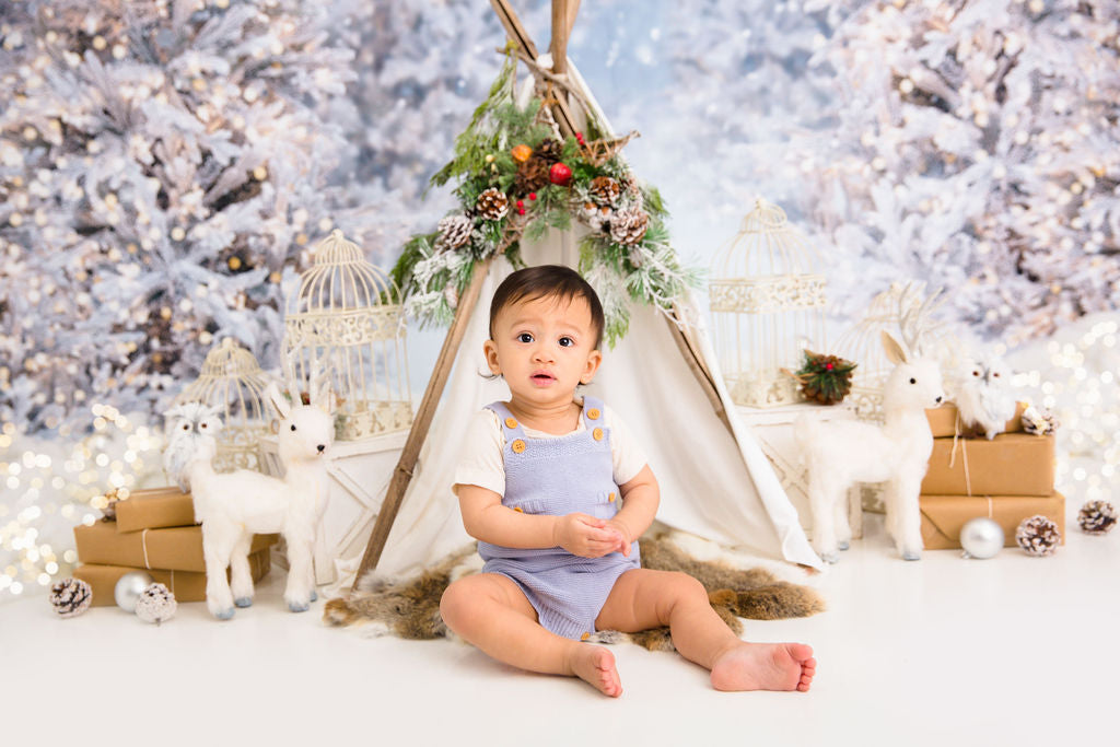 Christmas Trees in Snow with Lights (VR)