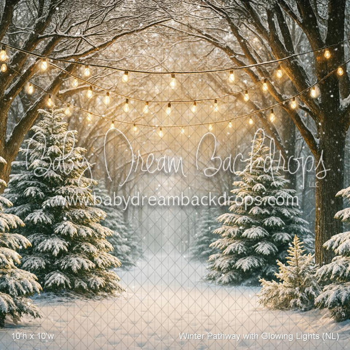Winter Pathway with Glowing Lights (NL)