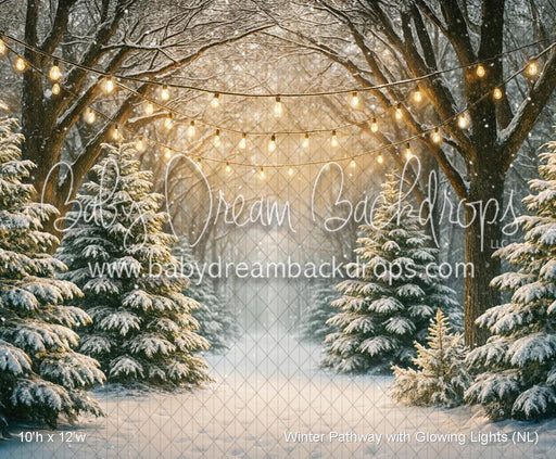 Winter Pathway with Glowing Lights (NL)