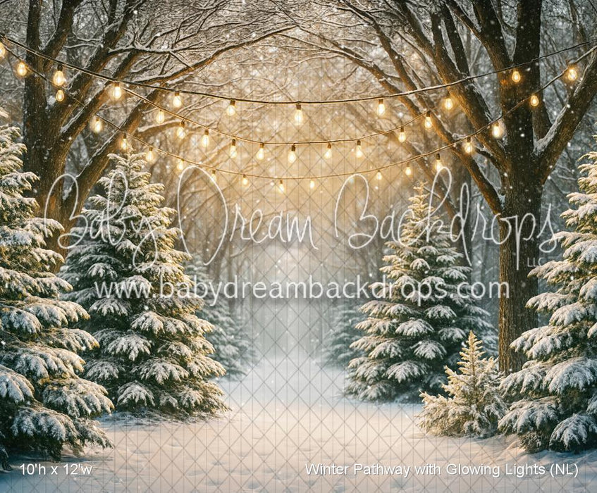 Winter Pathway with Glowing Lights (NL)