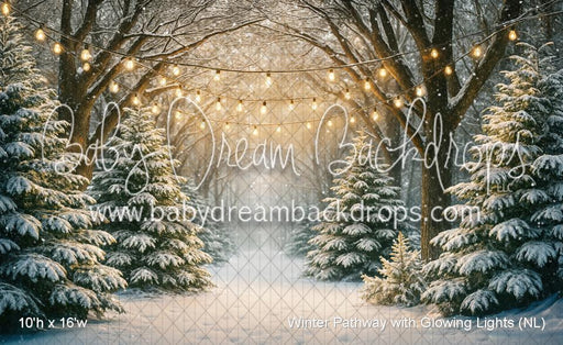 Winter Pathway with Glowing Lights (NL)