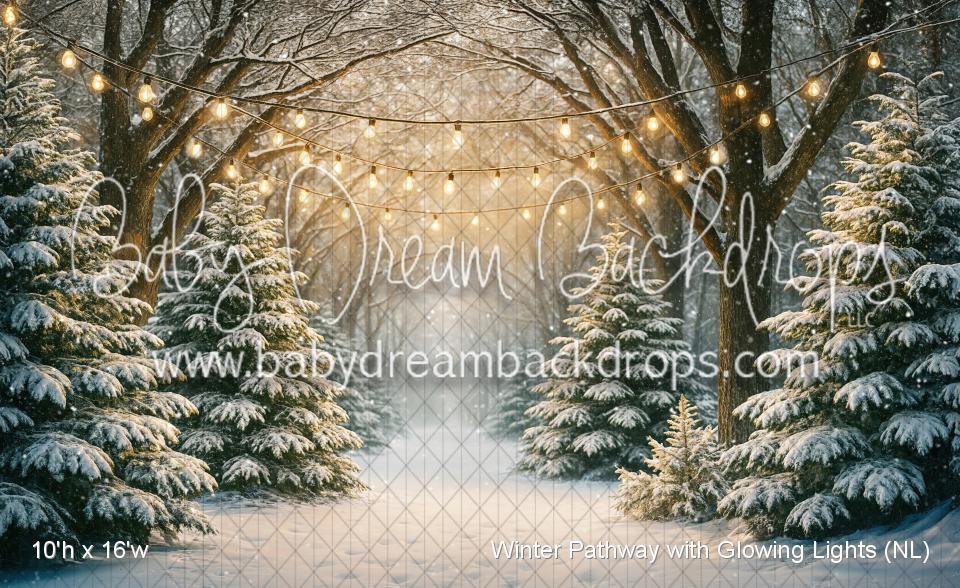 Winter Pathway with Glowing Lights (NL)