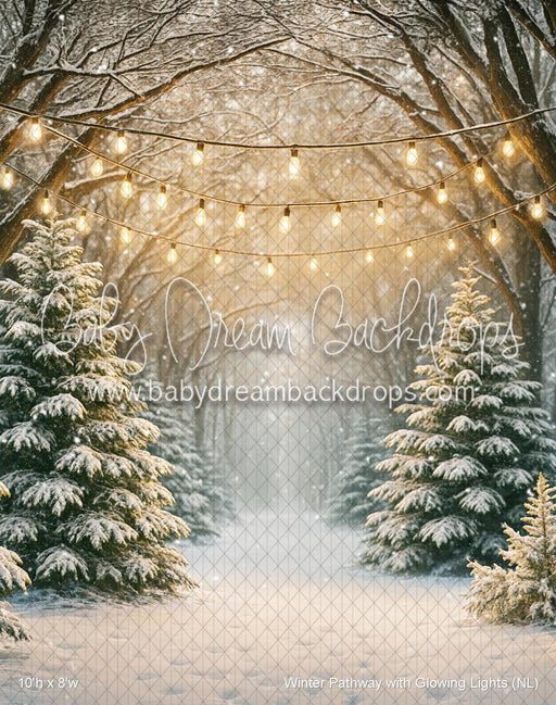 Winter Pathway with Glowing Lights (NL)