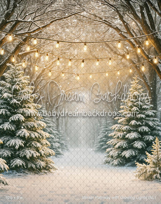 Winter Pathway with Glowing Lights (NL)