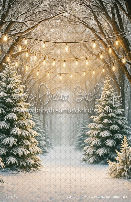 Winter Pathway with Glowing Lights (NL)