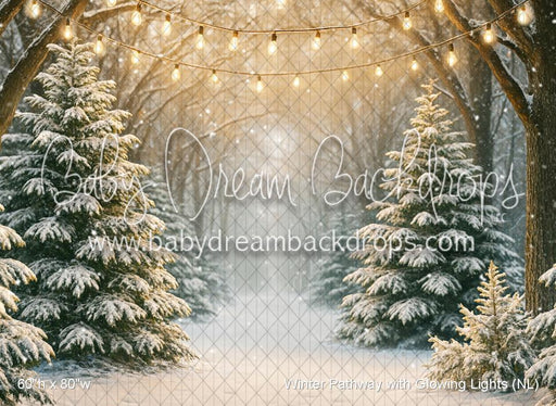 Winter Pathway with Glowing Lights (NL)