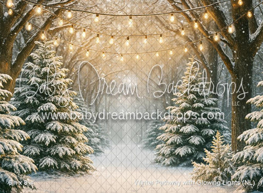 Winter Pathway with Glowing Lights (NL)