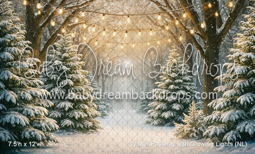 Winter Pathway with Glowing Lights (NL)